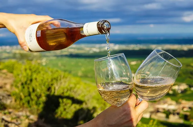 Vinresan genom Italien | Stockholm